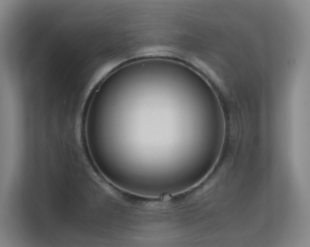 X0000110951277200906191243