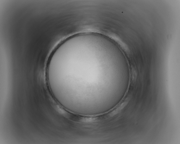 X0000110951278200906191243