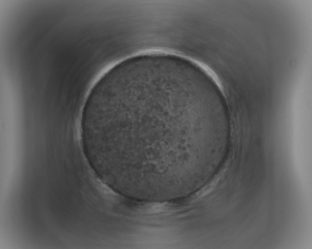 X0000110951279200906191243