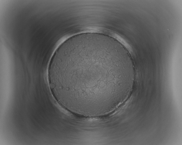 X0000110951283200906191243