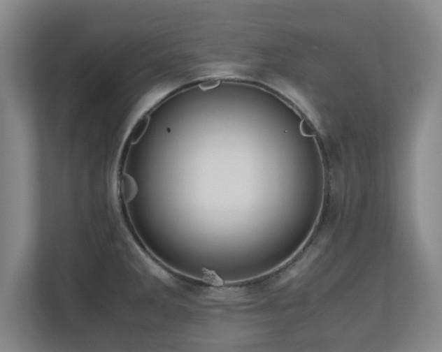 X0000110951285200906191243