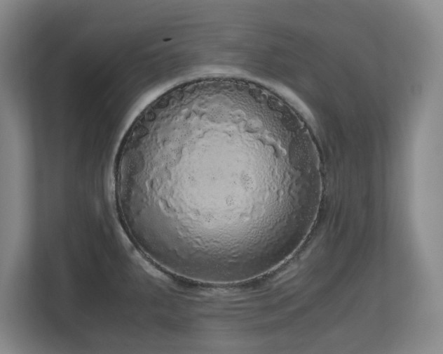 X0000110951287200906191243