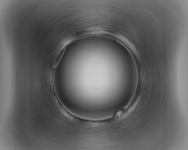 X0000110951289200906191243