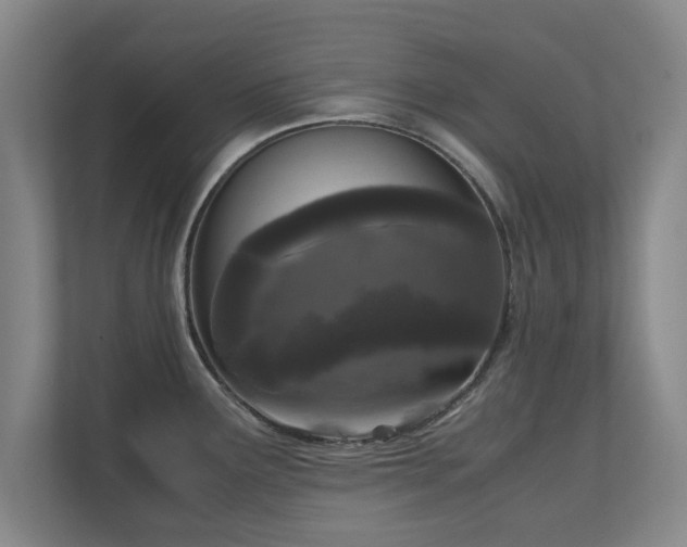 X0000110951291200906191243