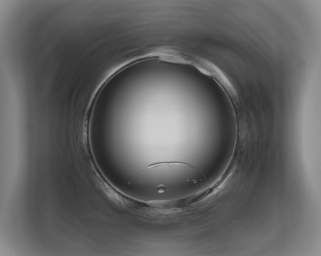 X0000110951292200906191243