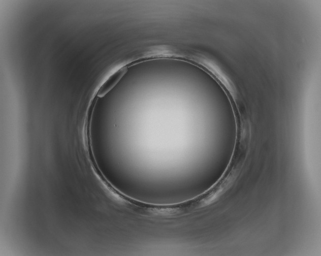 X0000110951293200906191243
