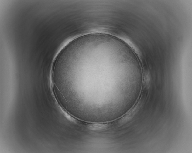 X0000110951294200906191243