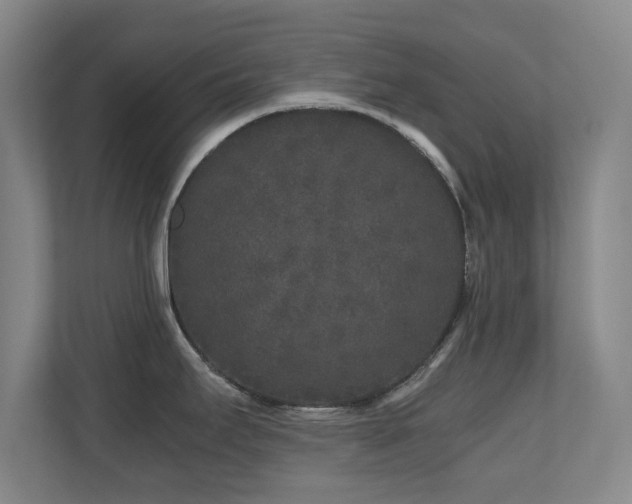 X0000110951295200906191243