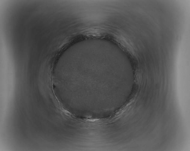 X0000110951297200906191242