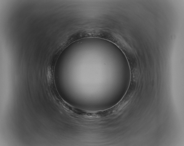 X0000110951298200906191242