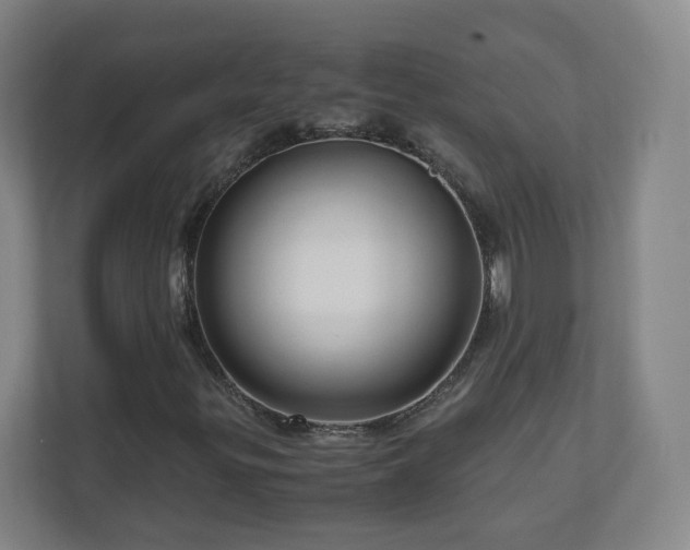 X0000110951299200906191242