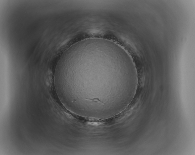 X0000110951301200906191242