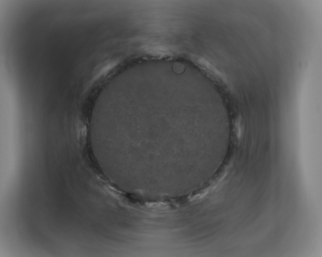 X0000110951302200906191242