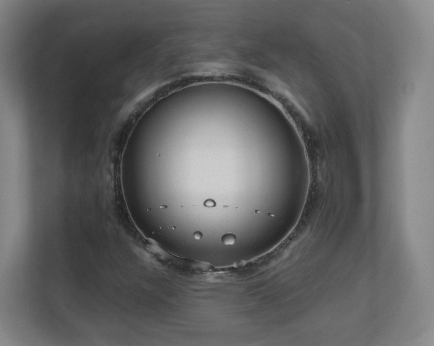 X0000110951304200906191242