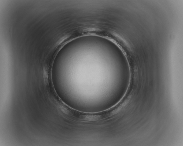 X0000110951305200906191242