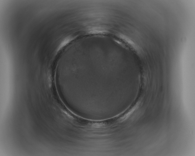 X0000110951306200906191242
