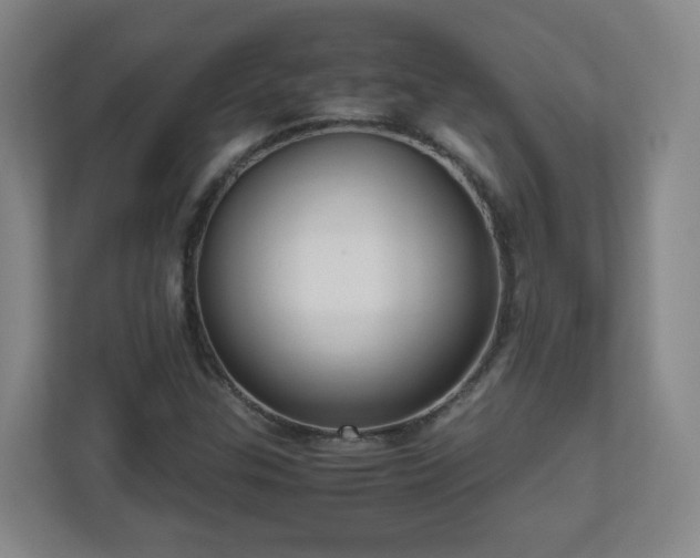X0000110951307200906191242