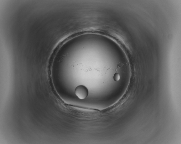 X0000110951308200906191242