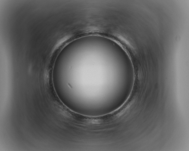 X0000110951309200906191242