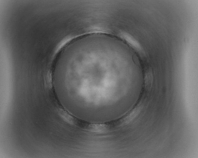 X0000110951310200906191243