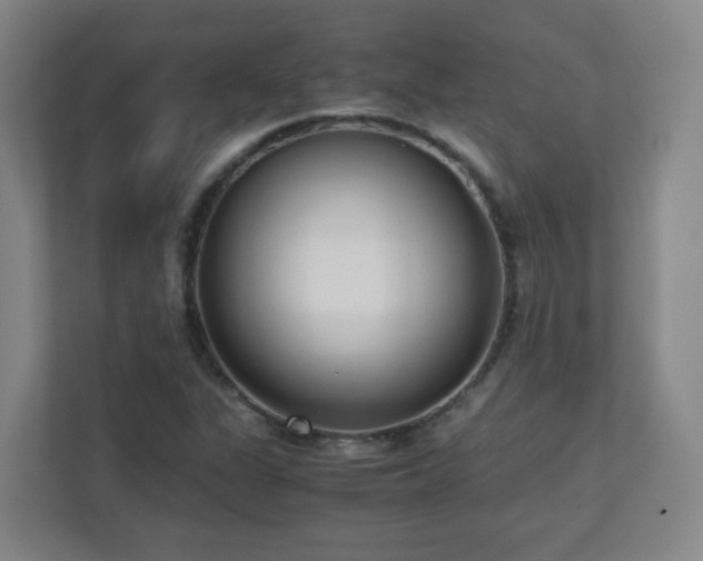 X0000110951311200906191243