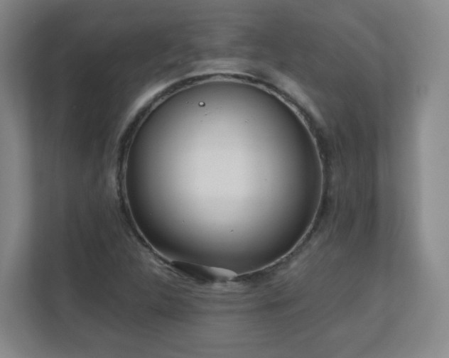 X0000110951312200906191243