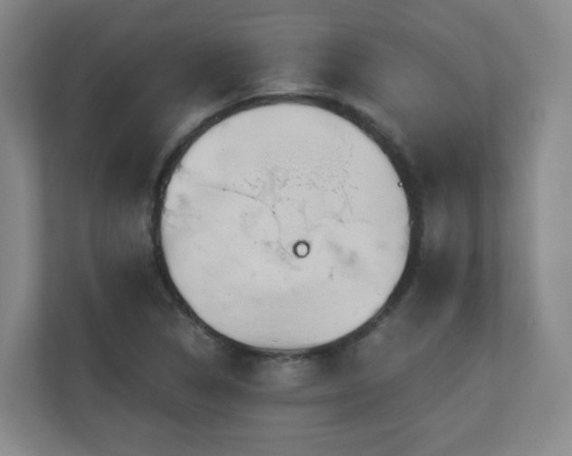 X0000110951314200906191243