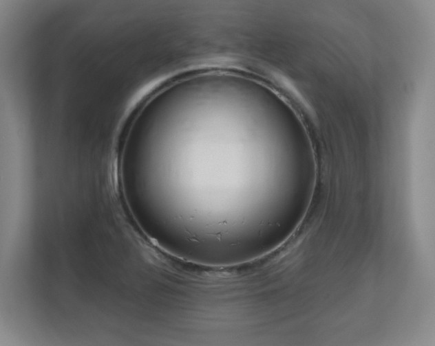 X0000110951320200906191243