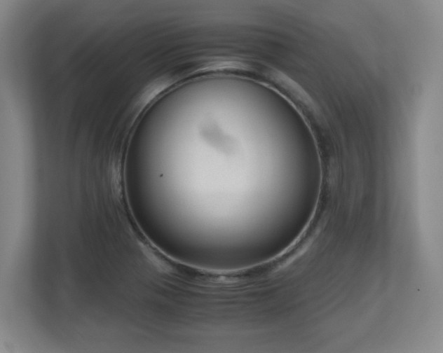 X0000110951321200906191243