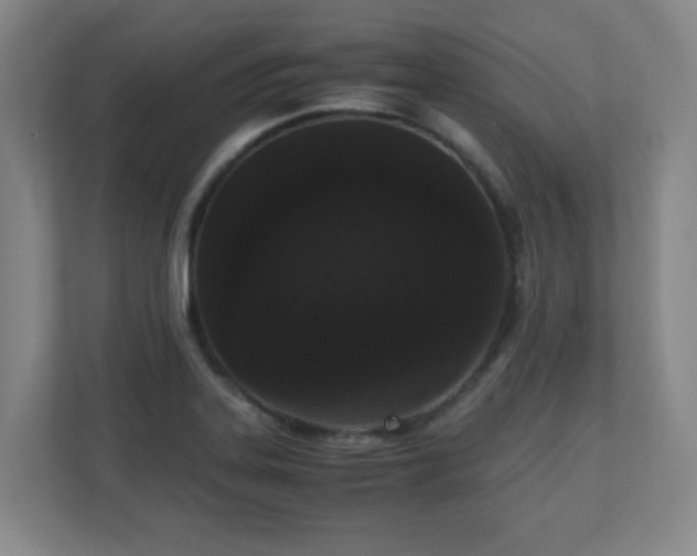 X0000110951323200906191243