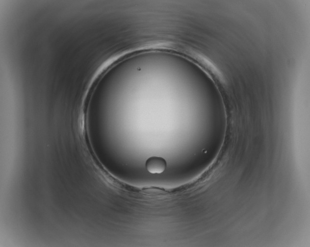 X0000110951324200906191243