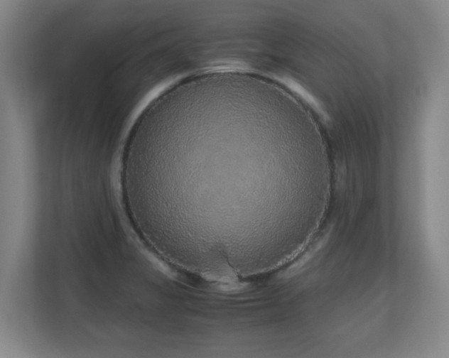 X0000110951325200906191243