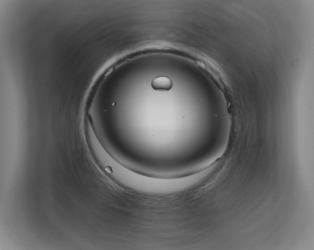 X0000110951326200906191243