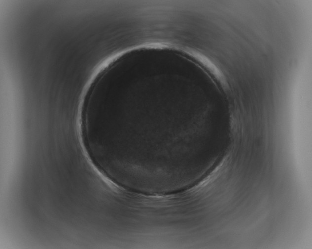 X0000110951327200906191243
