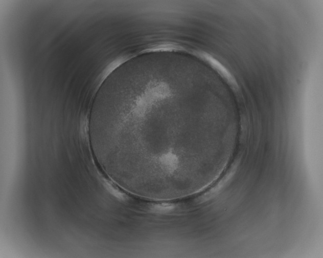 X0000110951329200906191243