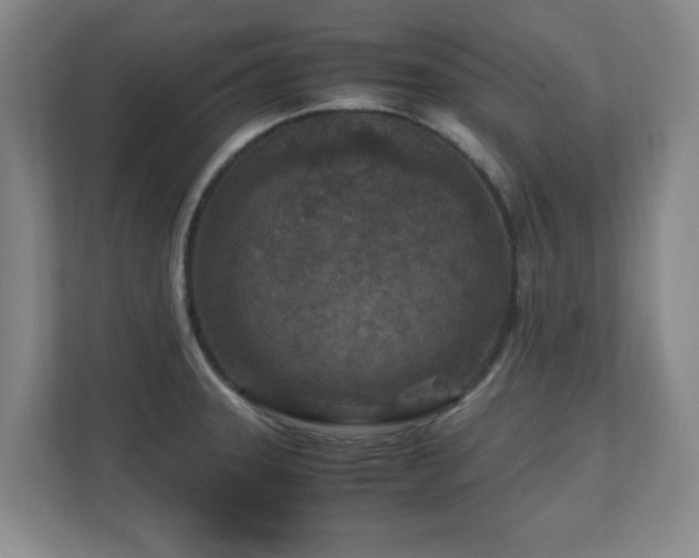 X0000110951331200906191243