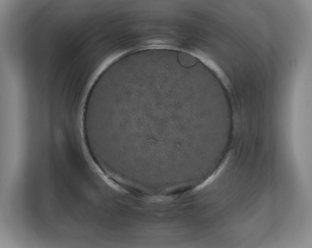 X0000110951333200906191243