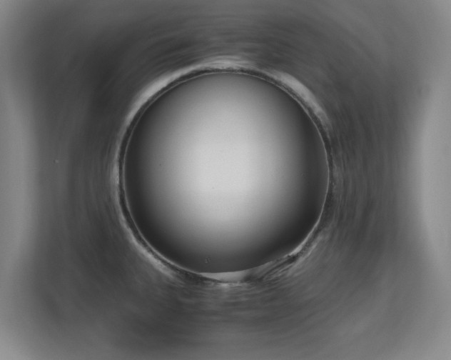 X0000110951335200906191243