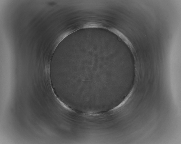 X0000110951337200906191243