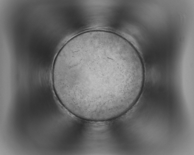 X0000110951338200906191243
