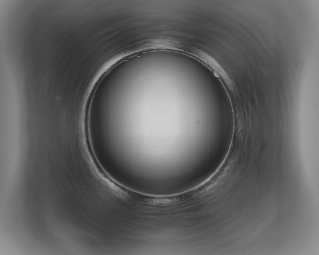 X0000110951339200906191243