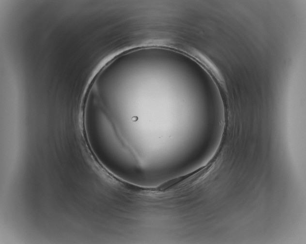 X0000110951340200906191243
