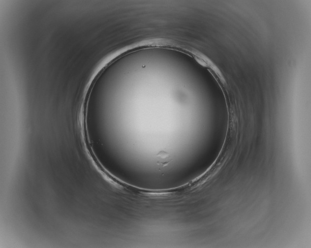 X0000110951343200906191243