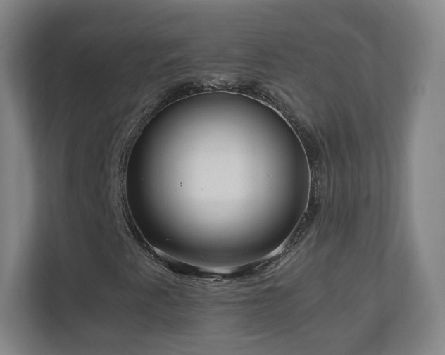 X0000110951345200906191242