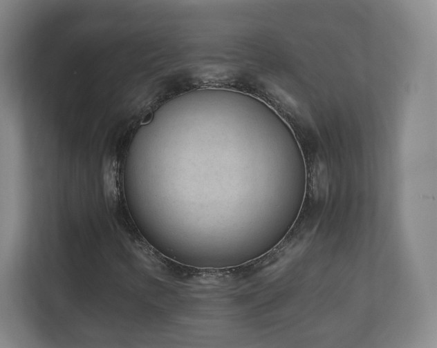 X0000110951346200906191242