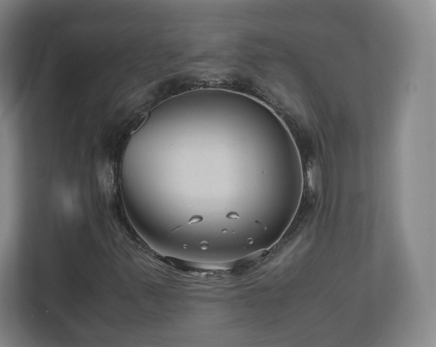X0000110951347200906191242