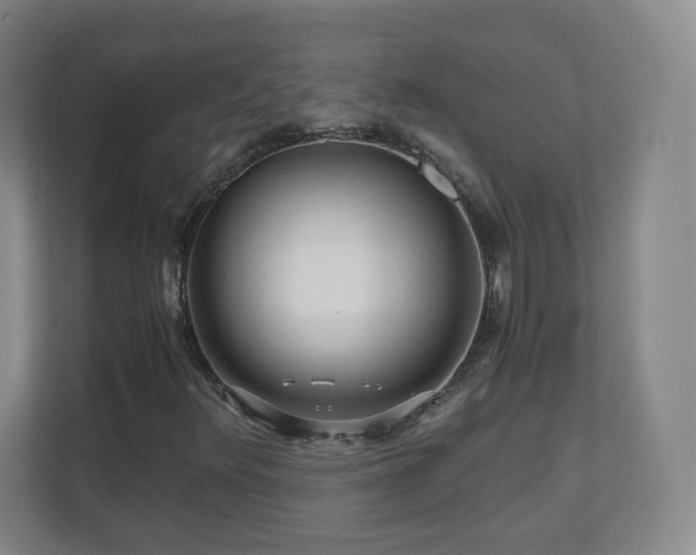 X0000110951348200906191242