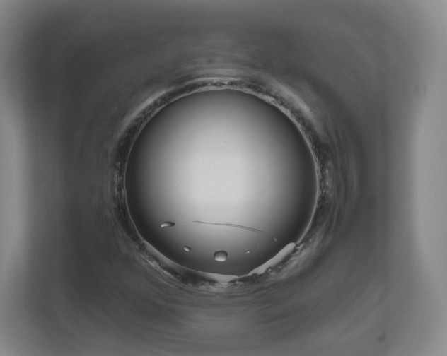 X0000110951352200906191242