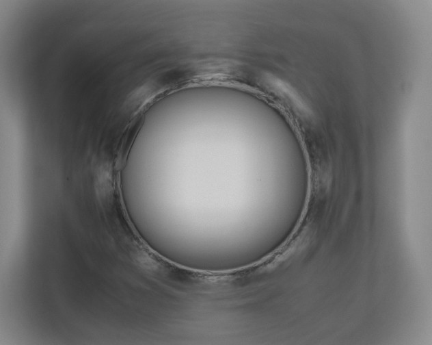 X0000110951353200906191242