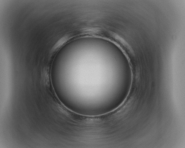 X0000110951354200906191242